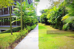 Meadows @ Peirce (D26), Condominium #112393422